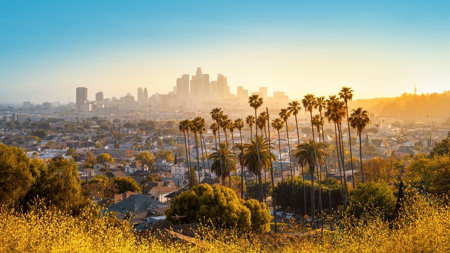 Downtown Los Angeles skyline behind palm trees at golden hour